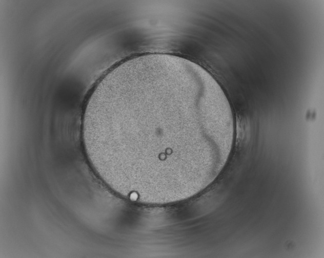 X0000112920301200909080940
