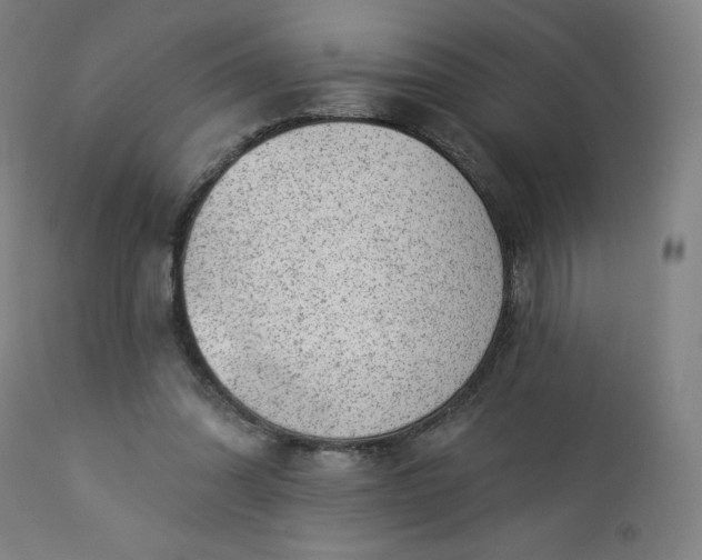 X0000112920302200909080940