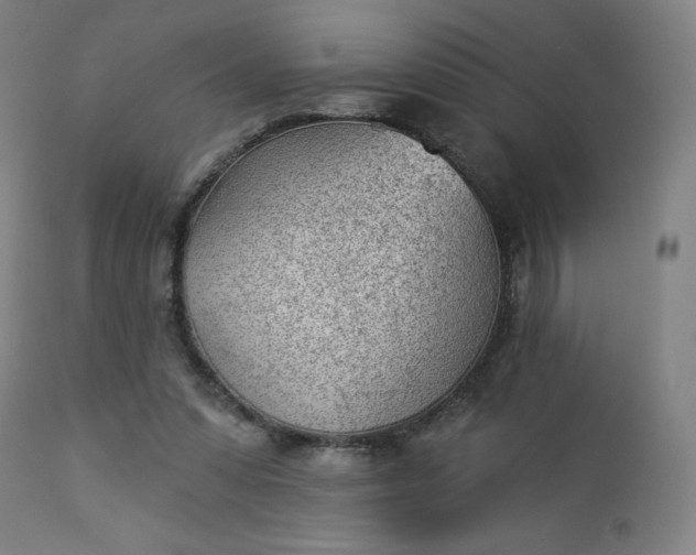 X0000112920303200909080940