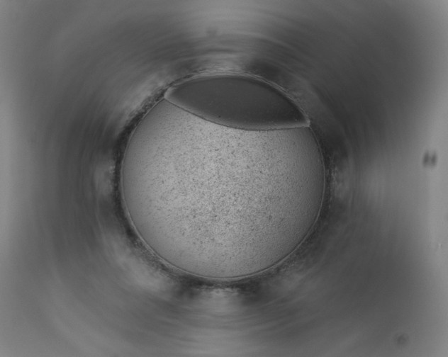 X0000112920304200909080940
