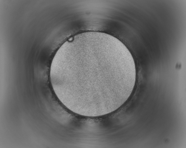 X0000112920305200909080940