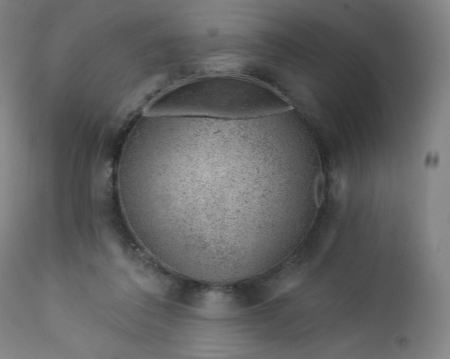 X0000112920308200909080940