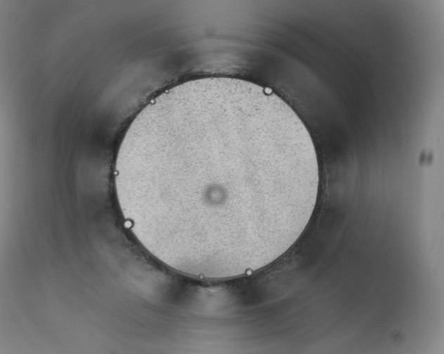 X0000112920309200909080940