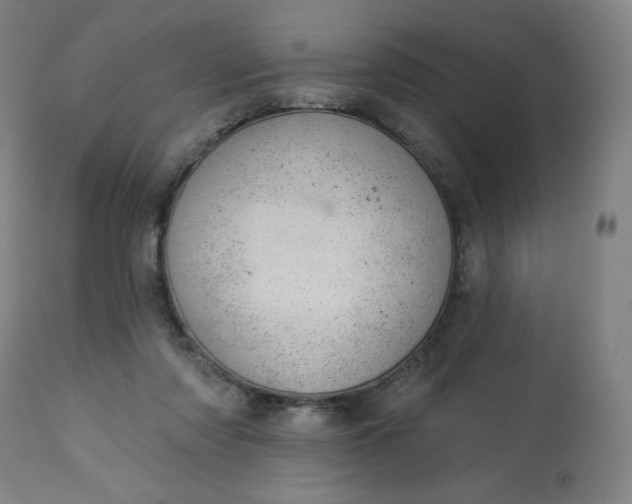 X0000112920310200909080940