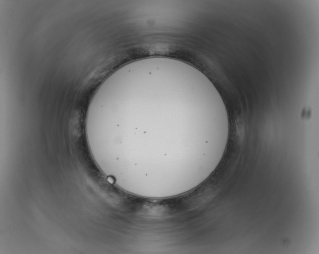 X0000112920311200909080940