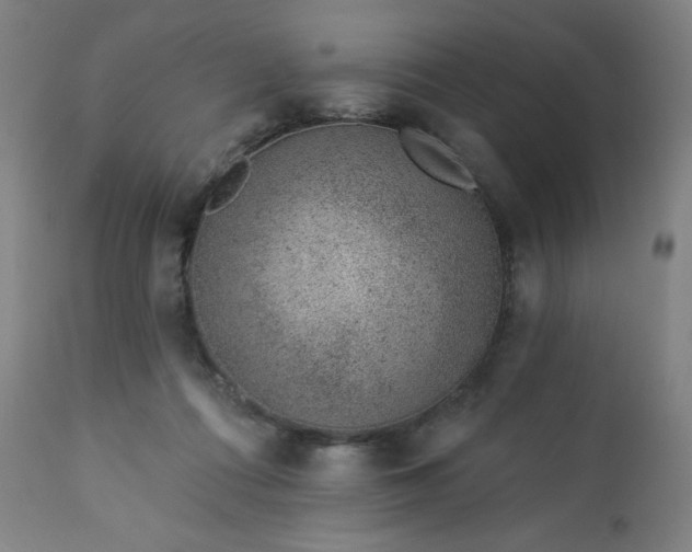 X0000112920312200909080940