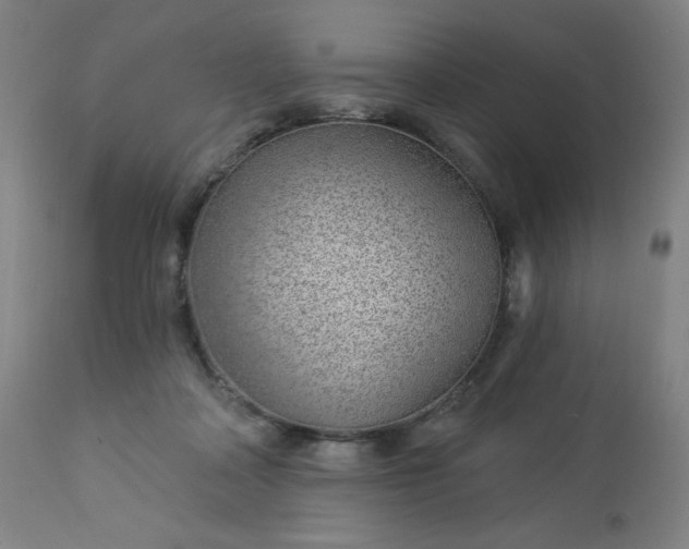 X0000112920314200909080940