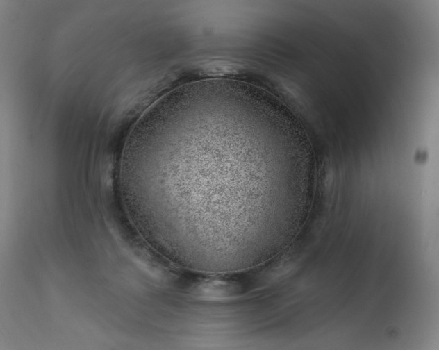 X0000112920315200909080940