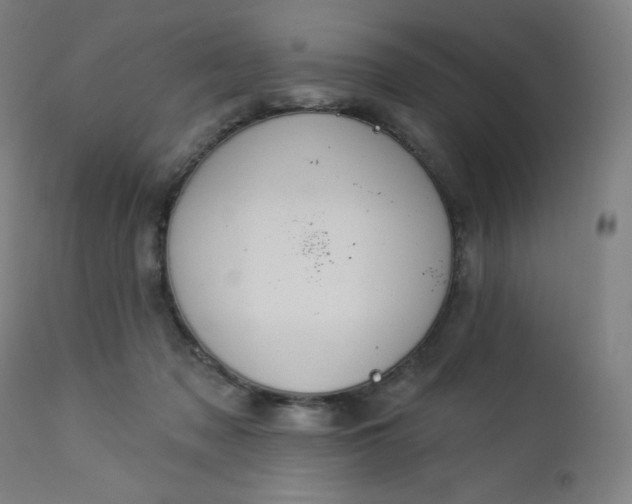 X0000112920317200909080940