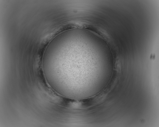 X0000112920318200909080940