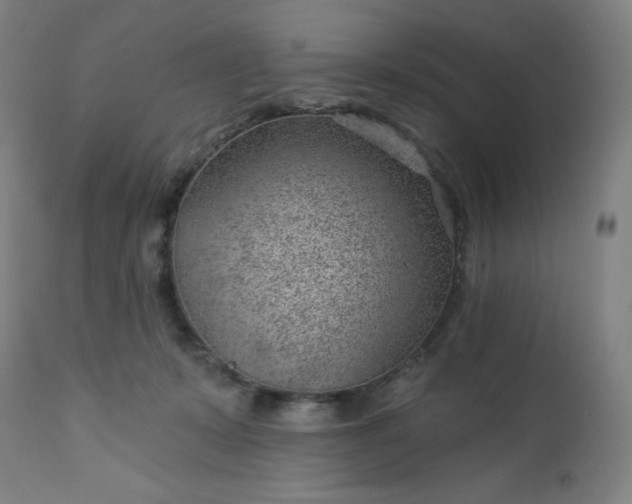 X0000112920319200909080939