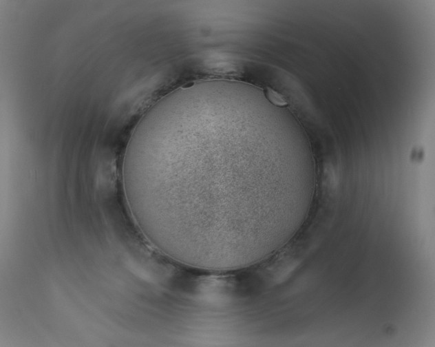 X0000112920320200909080939