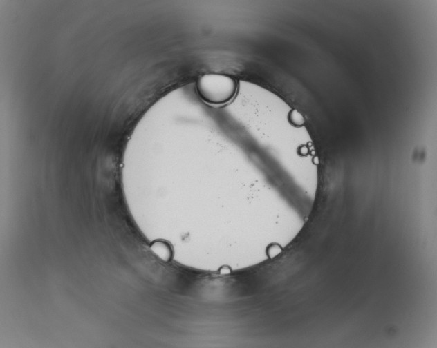 X0000112920321200909080939