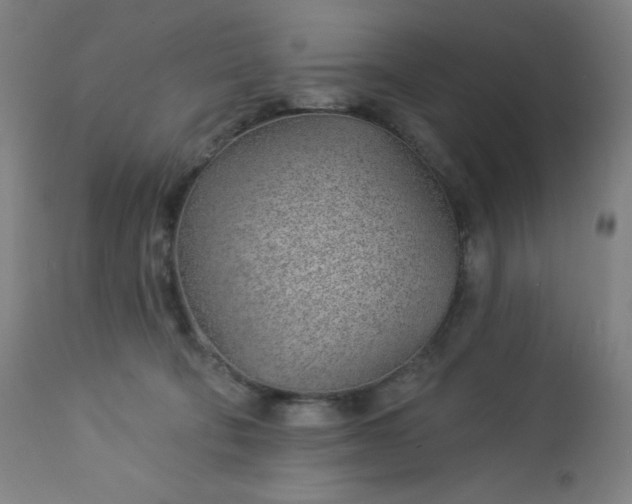 X0000112920322200909080939