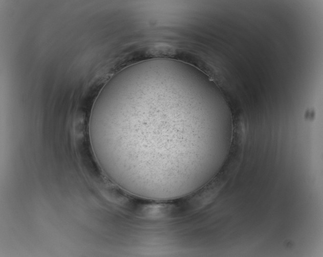 X0000112920323200909080939