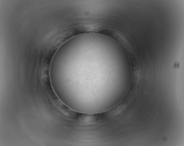 X0000112920325200909080939