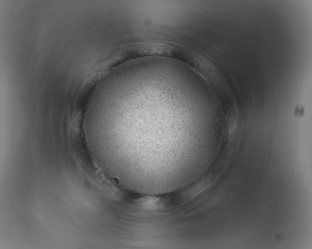 X0000112920326200909080939