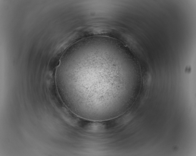 X0000112920327200909080939
