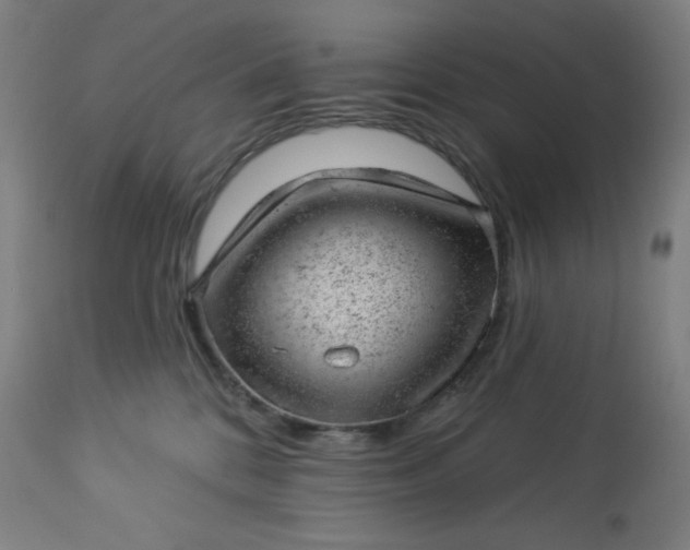 X0000112920328200909080939