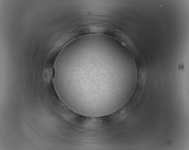 X0000112920329200909080939