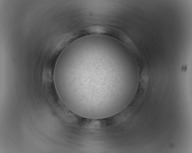 X0000112920330200909080939
