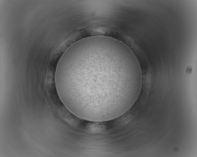 X0000112920331200909080939