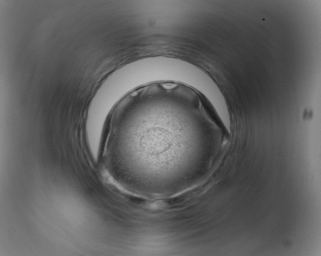 X0000112920333200909080939