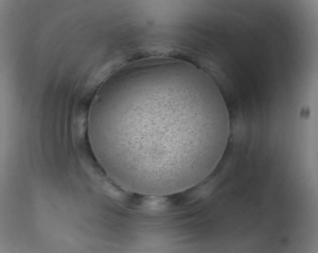 X0000112920334200909080939
