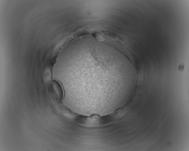 X0000112920335200909080939