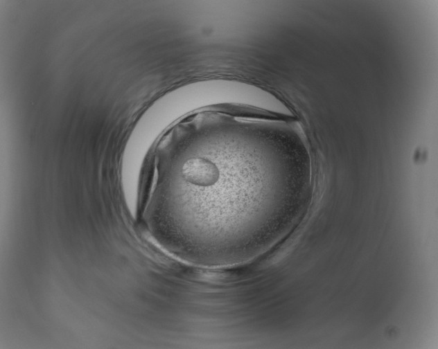 X0000112920336200909080939