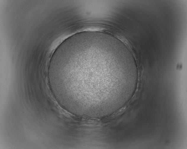 X0000112920337200909080939