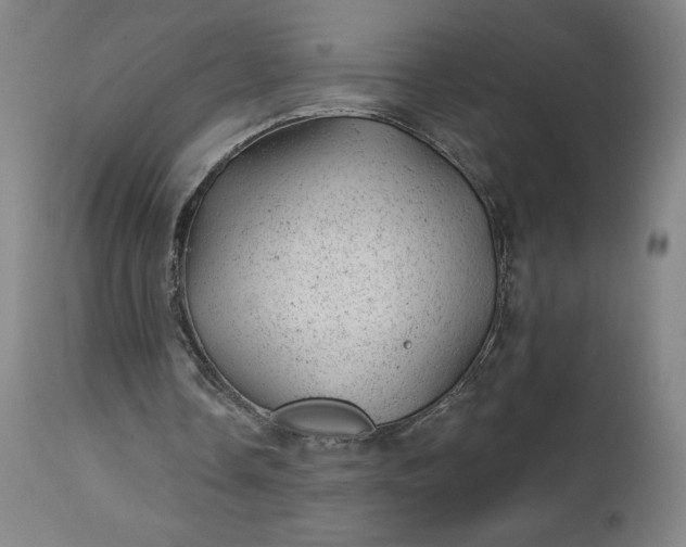 X0000112920338200909080939