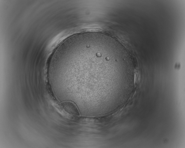 X0000112920339200909080939