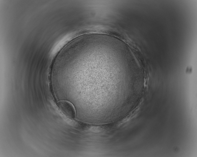 X0000112920341200909080939
