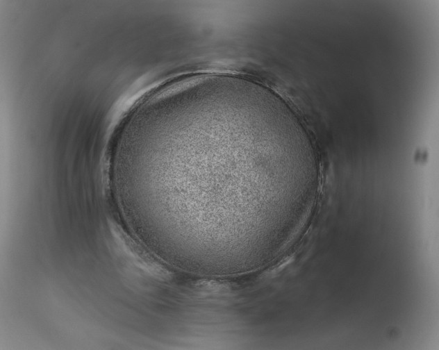 X0000112920343200909080939