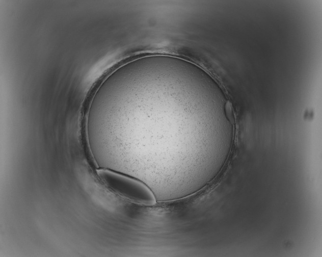 X0000112920344200909080939