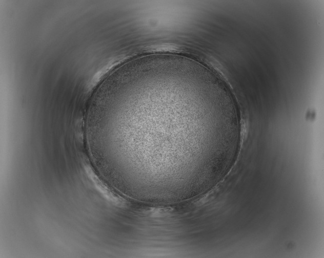 X0000112920345200909080939