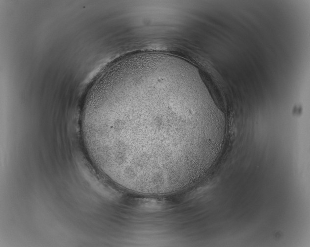 X0000112920347200909080939