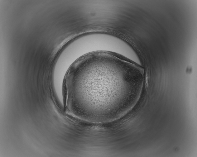 X0000112920348200909080939