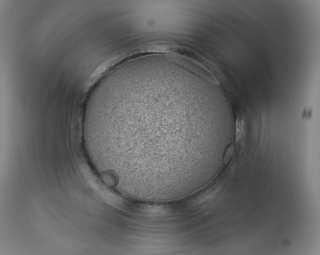 X0000112920349200909080939