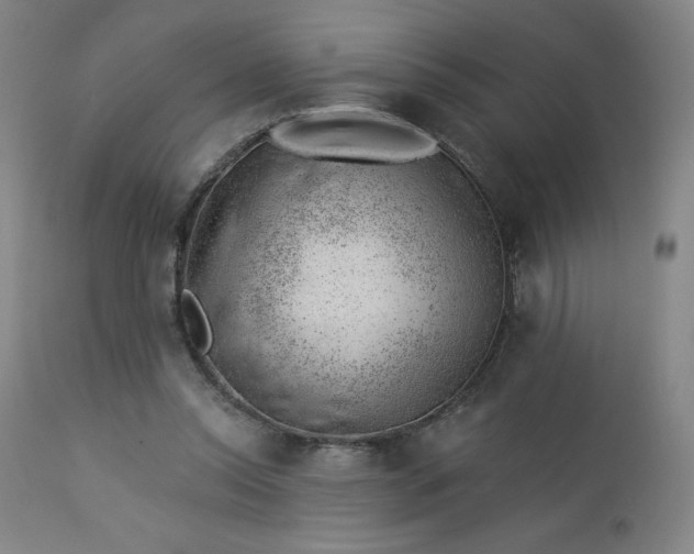X0000112920350200909080939