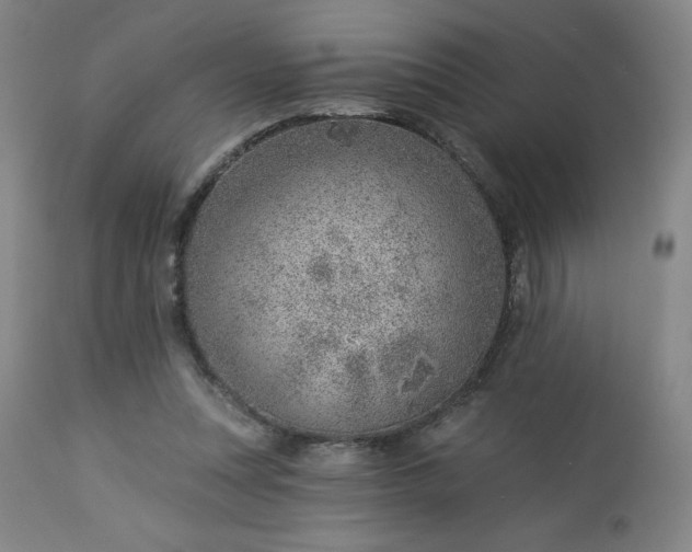 X0000112920351200909080939