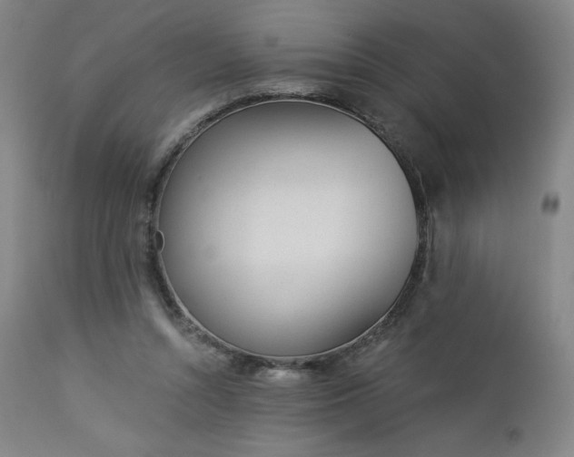 X0000112920352200909080939