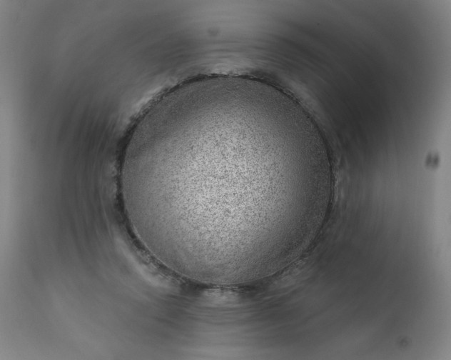 X0000112920354200909080939