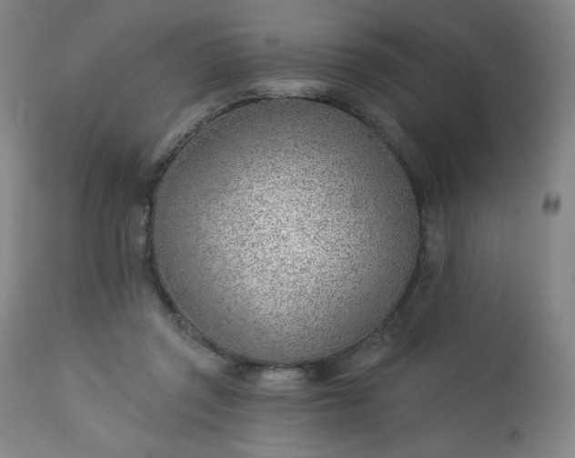 X0000112920357200909080939