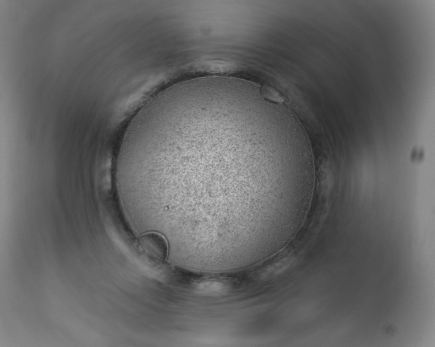 X0000112920358200909080939