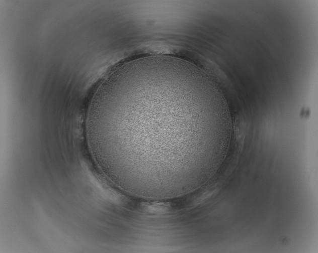 X0000112920359200909080939