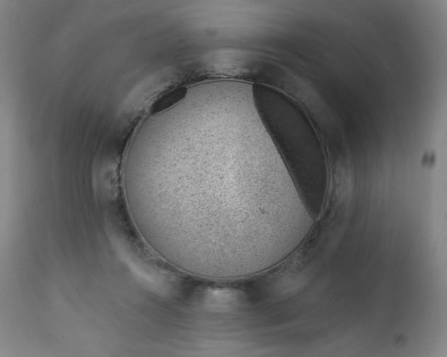 X0000112920360200909080939
