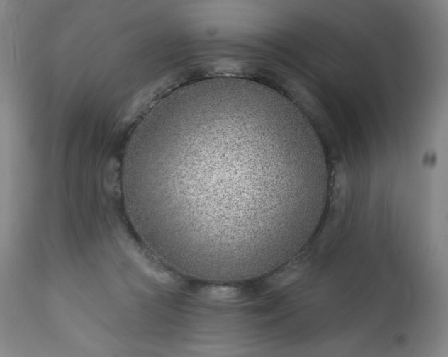 X0000112920361200909080939
