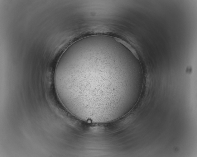 X0000112920362200909080939